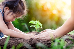 Aussie charity Save the Children gets nod from UN green bank