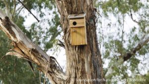 virtually plant a tree