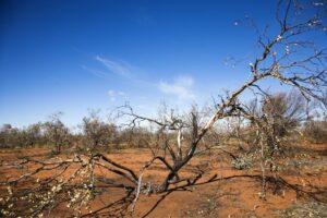 rural communities