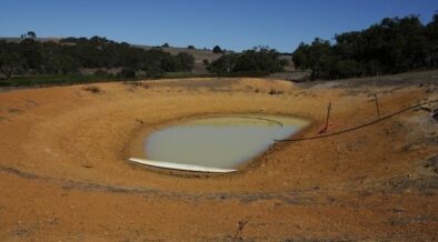 Degraded farm dams