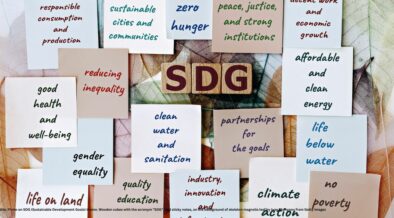 global sustainability agenda