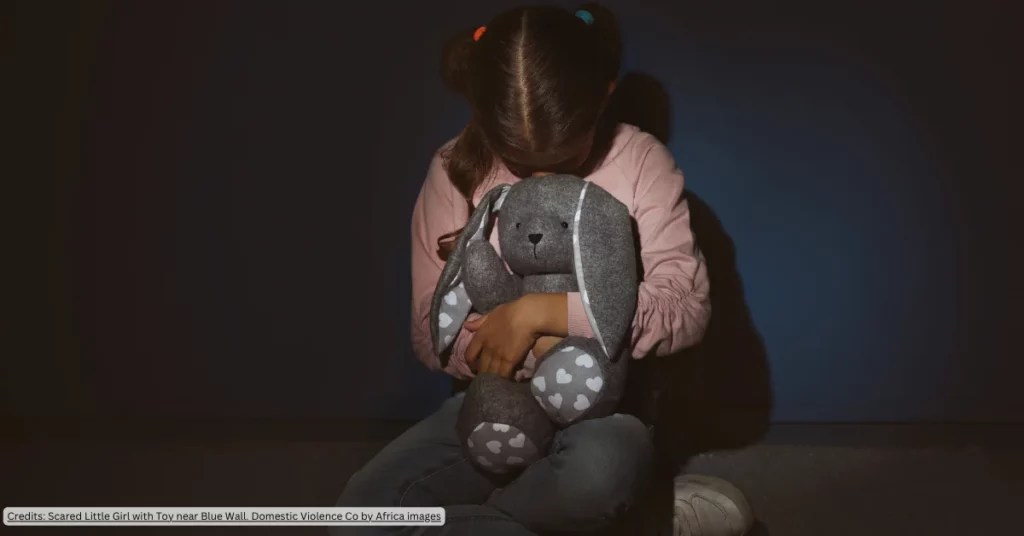 domestic violence NSW