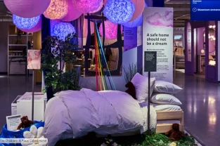 domestic and family violence