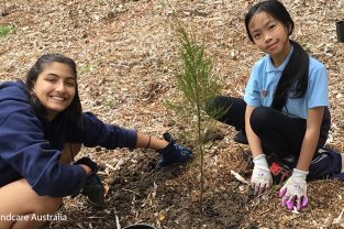 Environmental learning