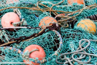 Photo Credit_ Old rustic fishing nets, fishing nets texture. by Kamila Kozioł from Getty Images