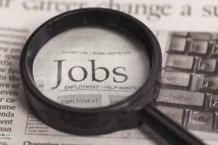 employment