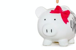 Professional fundraising