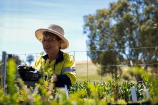 National Parks & Wildlife